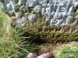 image of grave number 762860